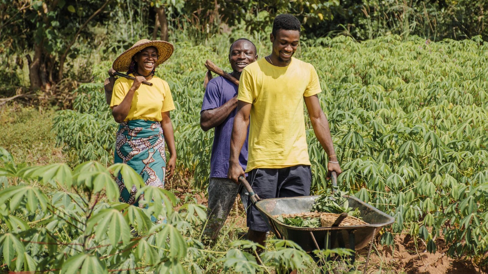 countryside-people-pushing-wheelbarrow