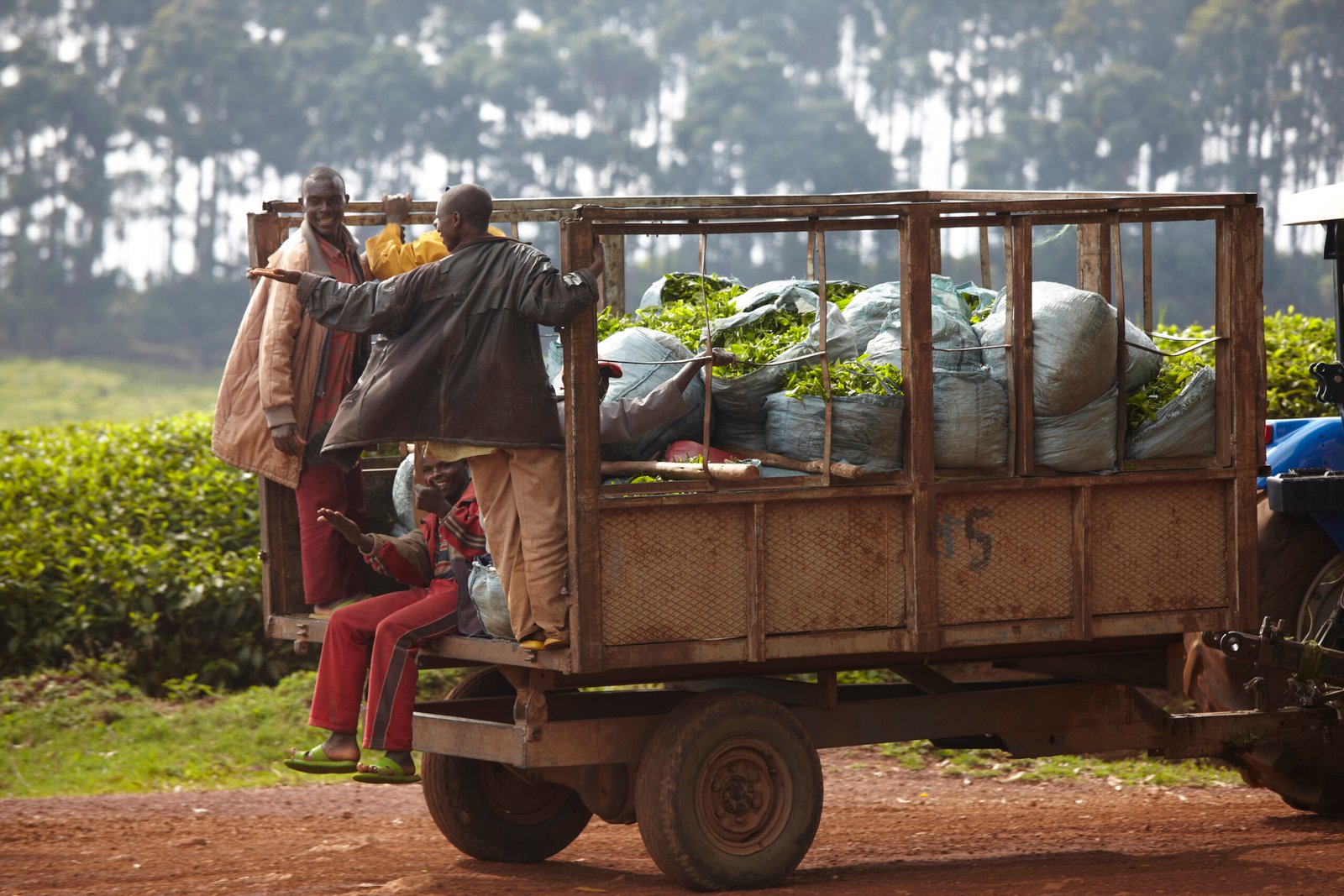 problem_agriculteurs_Moundou