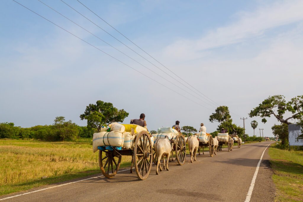 problem_agriculteurs_Moundou